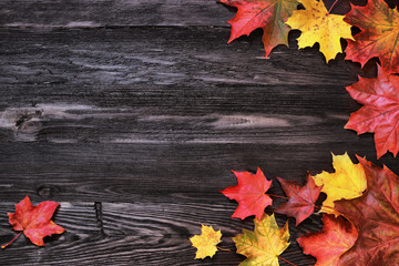 Naklejka na ściany i meble Autumnal colored leaves on wooden background