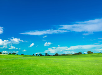 Grass Fields Of Green