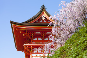 Kiyomizu Temple, Japan, "meaning water.