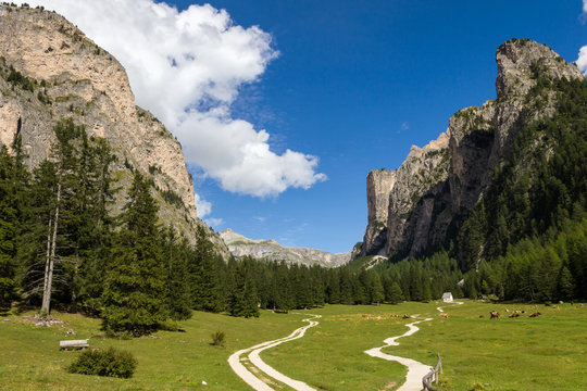 Langental Dolomiten