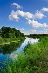 Fototapeta na wymiar Summer landscape with a river