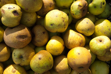 Pommes abimées