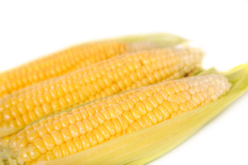 Fresh Corn