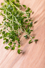 Thyme , Selective focus 