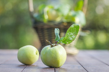 Fresh apple crop outdoors