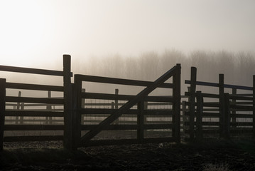 Fototapeta premium Paddock gate sunrise silhouette
