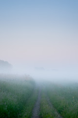 Obraz na płótnie Canvas Path into heavy fog background