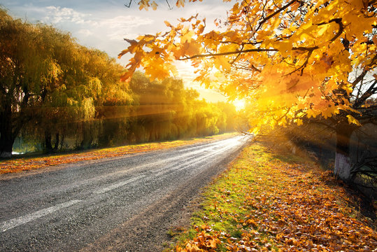 Fototapeta Highway and autumn