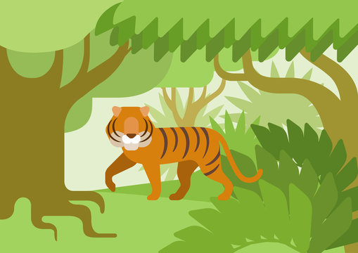 Tiger jungle habitat flat design cartoon vector wild animal