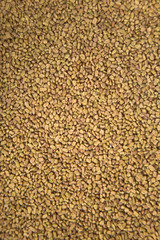 Fenugreek seeds