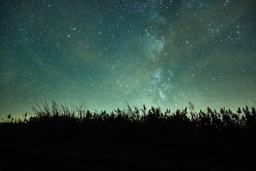 Galaxy