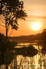 River in the Amazon Rainforest at dusk, Peru, South America - 71906720