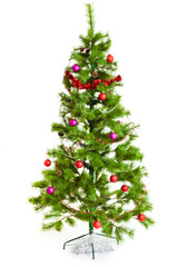 Christmas tree.  Isolated decorated christmas tree