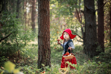 Little Red Riding Hood in the woods