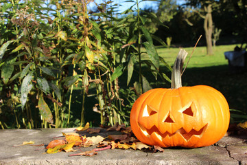 Helloween K&uuml;rbis auf Mauer