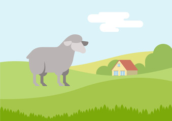 Sheep on farm grass field flat design cartoon vector wild animal