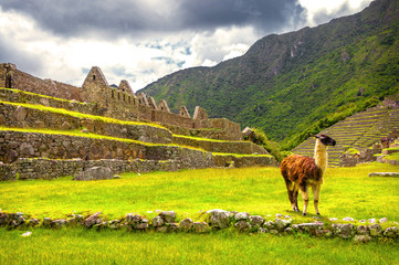 Inca city Machu Picchu (Peru) - 71908718