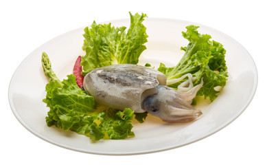 Raw cuttlefish