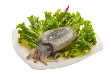 Raw cuttlefish