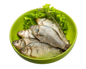 Crucian fish