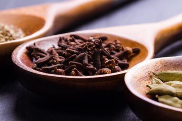 Spices set.Various seasonings for cooking, anise, cardamom