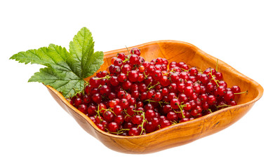 Red currant