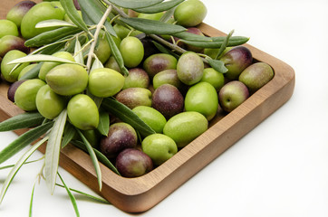 Aceitunas recien cosechadas