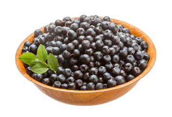 Blueberry