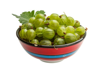 Gooseberry