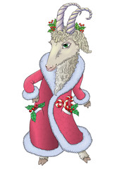 Goat in Santa coat