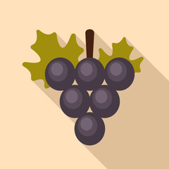 Grapes vector icon