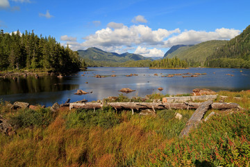 Kanadische Flusslandschaft