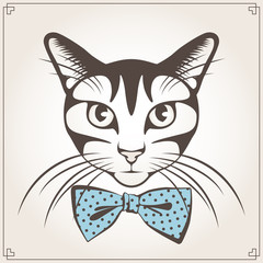 Vector portrait of the cat