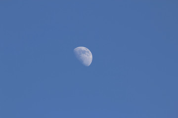 the moon