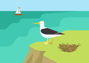 Seagull gull nest beach flat cartoon vector wild animals birds