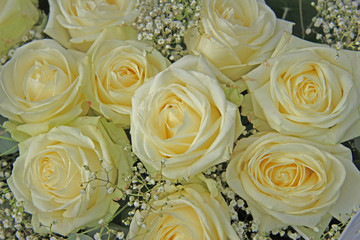 White roses in bridal bouquet