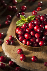 Raw Organic Red Cranberries