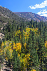 Bishop, Autumn, Fall Color