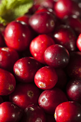 Raw Organic Red Cranberries