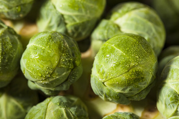 Raw Green Organic Brussel Sprouts