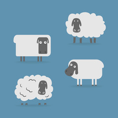 Sheep group