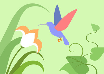 Hummingbird flower habitat flat cartoon vector wild animal bird