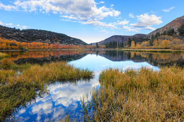 Bishop, Autumn, Fall Color