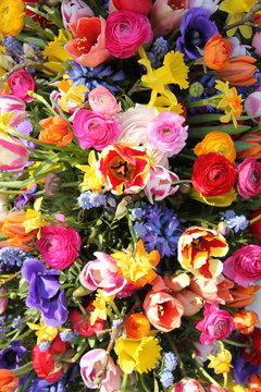 Spring flowers in bright colors