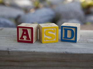 Autism Spectrum Disorder (ASD) alphabet blocks