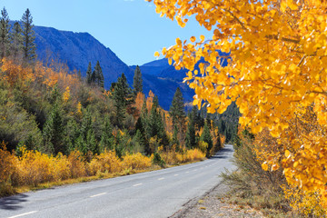 Bishop, Autumn, Fall Color