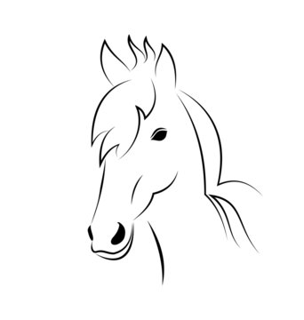 Symbol outline head horse isolated on white background