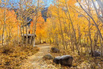 Bishop, Autumn, Fall Color