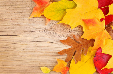 Naklejka na ściany i meble Fall Leaves on Old Wooden Background