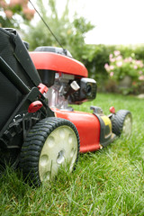 Obraz premium Lawn mower.